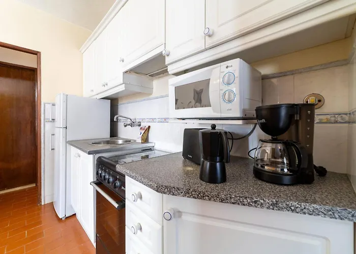 Vivenda Lemos D 公寓 *